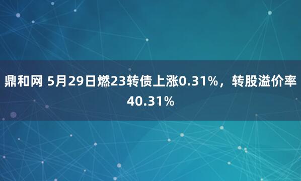 鼎和网 5月29日燃23转债上涨0.31%，转股溢价率40.31%
