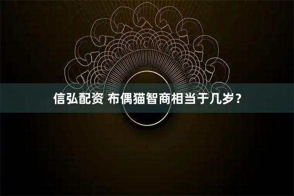 信弘配资 布偶猫智商相当于几岁？