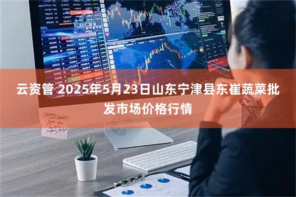 云资管 2025年5月23日山东宁津县东崔蔬菜批发市场价格行情