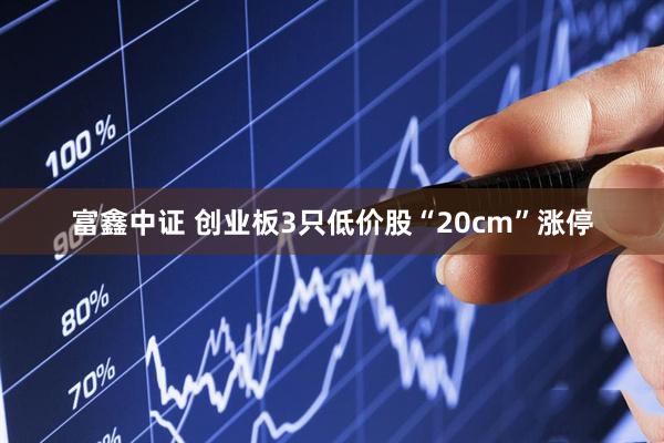 富鑫中证 创业板3只低价股“20cm”涨停