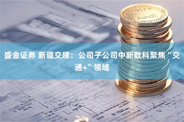 盛金证券 新疆交建：公司子公司中新数科聚焦“交通+”领域